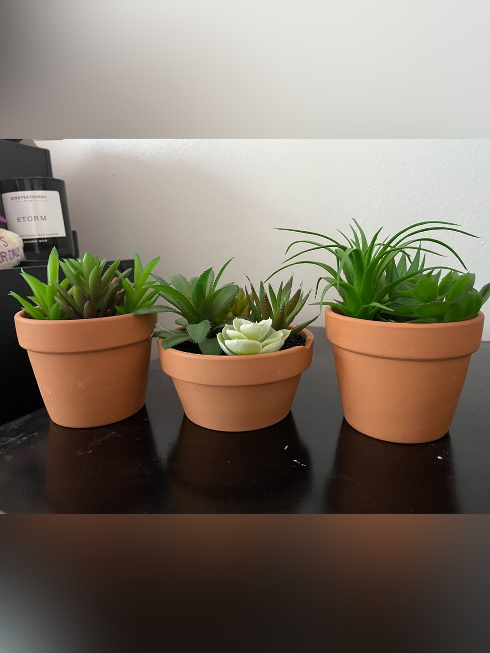 Terracotta Succulent Planter Trio - Natural Orange